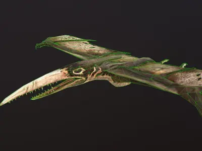 Pteranodon bat flying Low-poly 3D model