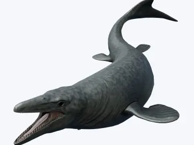 Mosasaurus Asset Pack Low-poly 3D model
