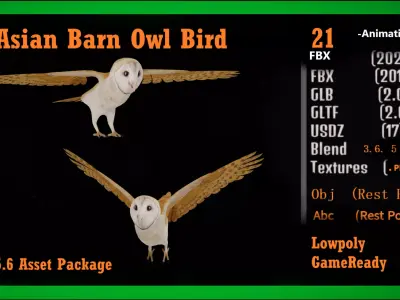 Asian Barn Owl Bird Low-poly 3D model