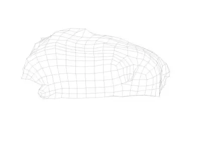 Raw Pork Meat Low-poly 3D model