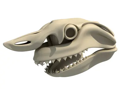 Great White Shark Skull 22 3D model