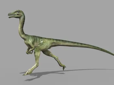 Real Animated Compsognathus - 8K 3D model