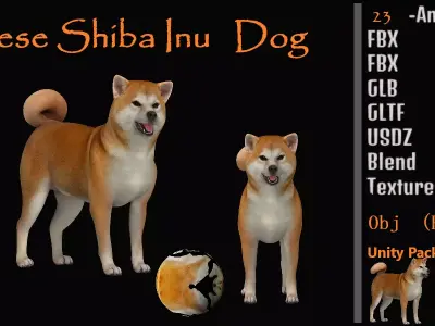 Japanese Shiba Inu Dog Free 3D model