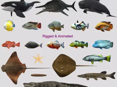Fish Collection Animated - Game Ready Pack 5 Low-poly 3D model