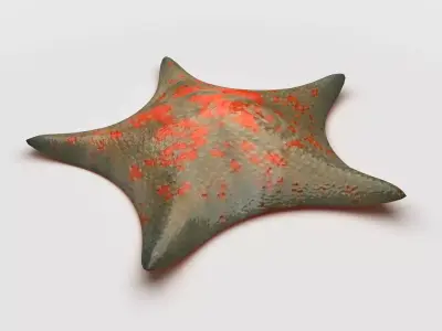 Petrel Sea star Low-poly 3D model