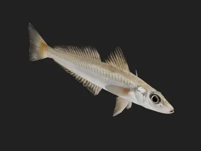 Silversillago Low-poly 3D model