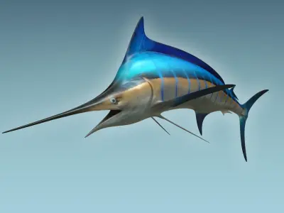 Marlin 3D model