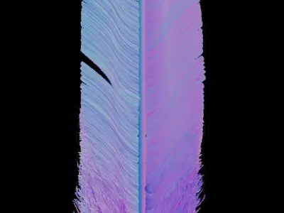 Feathers Hair Cards preset Free low-poly 3D model