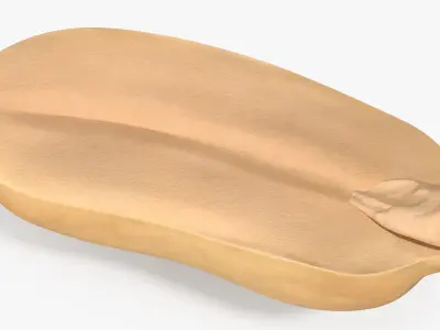 Peanut Seed Peeled 3 3D model