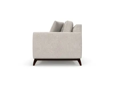 Nari Tufted Back Sofa With 2 Toss Pillows Free 3D model
