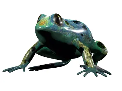 Poison Dart Frog Rig Low-poly 3D model