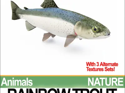 Rainbow Trout 3D model