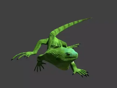 Iguana Free 3D model