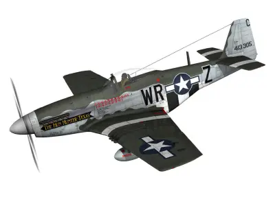 North American P-51D - The Hun Hunter Texas  3D model