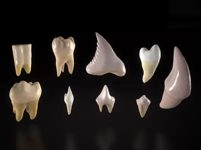 Great Teeth Pack Low-poly 3D model