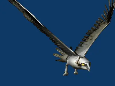 eagle osprey 3D model