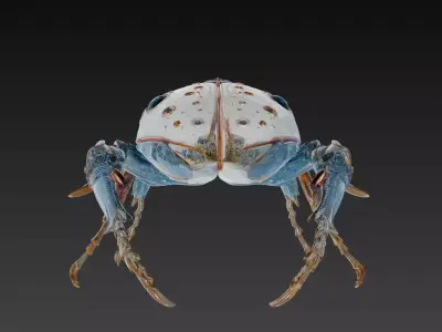Celestial Platinum Beetle - Luxury Cyber Sculpture 3D Model 3D print model purchase