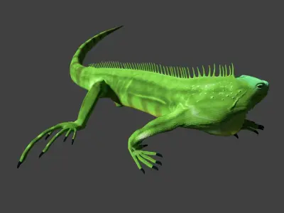 Iguana Free 3D model