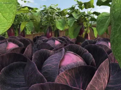 Leafy Cabbage Head Purple Dark 3D model