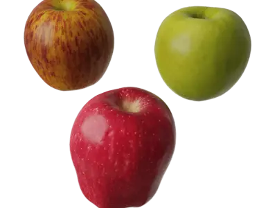  Assorted Apples Fruit Food Model 