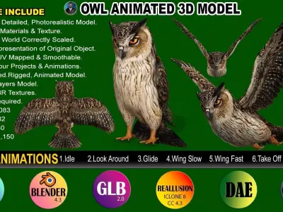 OWL RIGGED ANIMATED 7 Low-poly 3D model