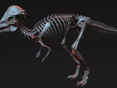 Pachycephalosaurus Skeleton 3D model