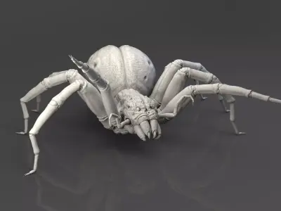 Shelob 3D model