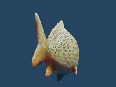 common carp  Low-poly 3D model