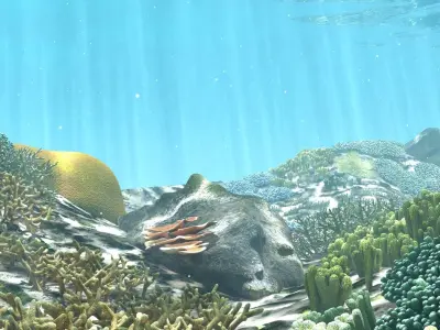 3D Cartoon Underwater Coral Reef Habitat Ocean Version 2 Low-poly 3D model