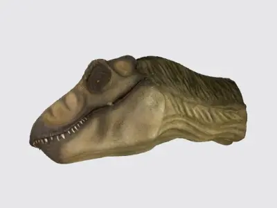 T-Rex head model 3D model