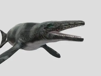 Tylosaurus Low-poly 3D model