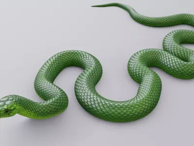 Animated Green Mamba Free low-poly 3D model