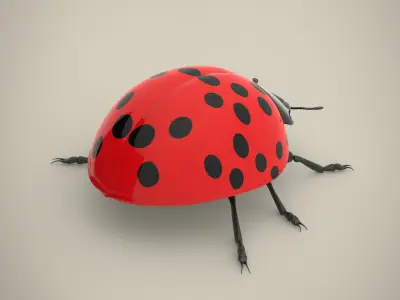 Ladybird ladybug 3D model