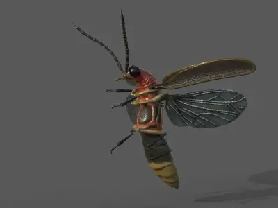 Firefly beetle 3D model