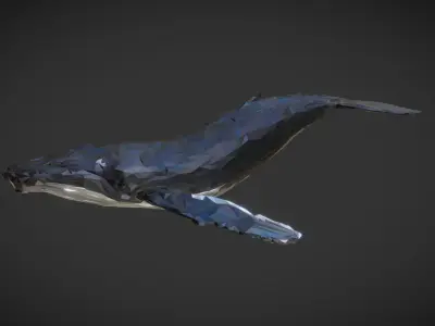 Whale Low Polygon Art Animal Low-poly 3D model