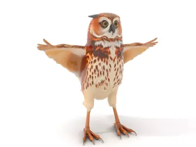 Spotted Owl Animation model pack Low-poly 3D model