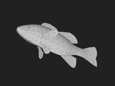 Smallmouthbass Low-poly 3D model