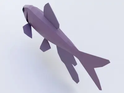 Zacco platypus fish low poly 3d model  Low-poly 3D model