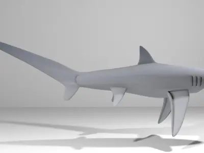 Shark - Fox 3D model
