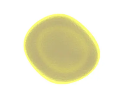 Spider Blood Cell 3D model