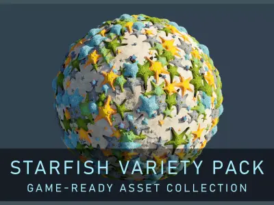Starfish Variety Pack 1 Low-poly 3D model