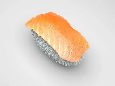 Shake Nigiri Salmon Sushi 3D model