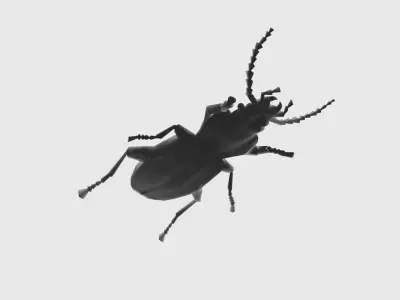 Low Poly Beetle Low-poly 3D model