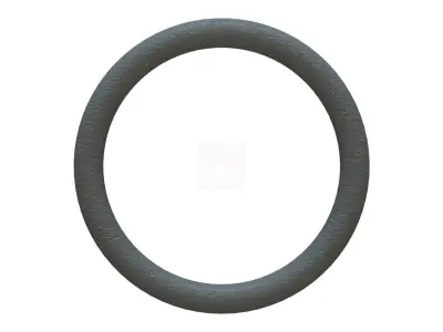 O Ring Vedabras 12510 3D model