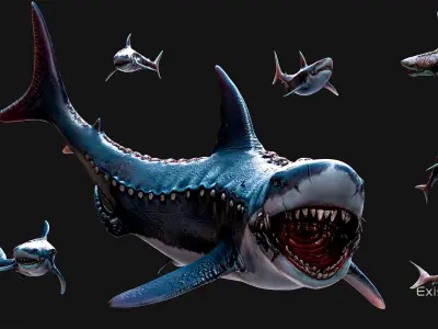 Megalodon Shark Model GameReady Ocean Predator Low poly fish - 7 Low-poly 3D model