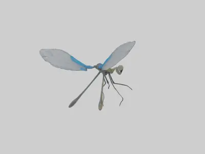 Damselfly landing model Low-poly 3D model