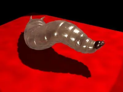 Maggot Rigged 3D model