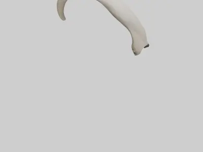 Elephant Femur Low-poly 3D model