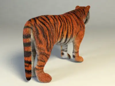 Amur Tiger vray v1 Low-poly 3D model
