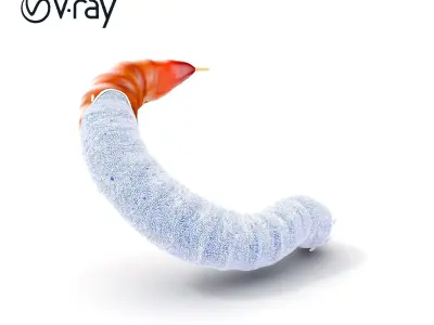 Realistic Centipede Model Pack for D Applications Low-poly 3D model